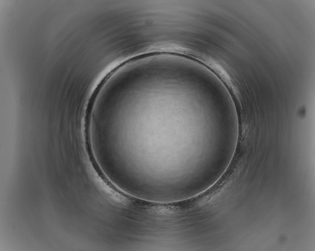 X0000091560947200708171323