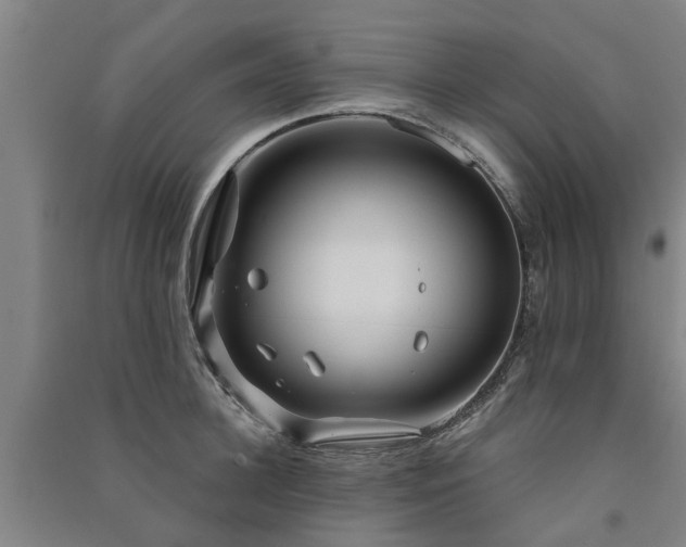 X0000091560948200708171323