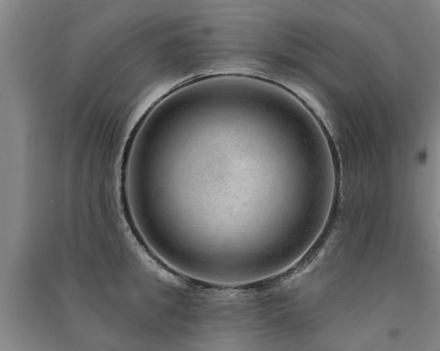 X0000091560949200708171323