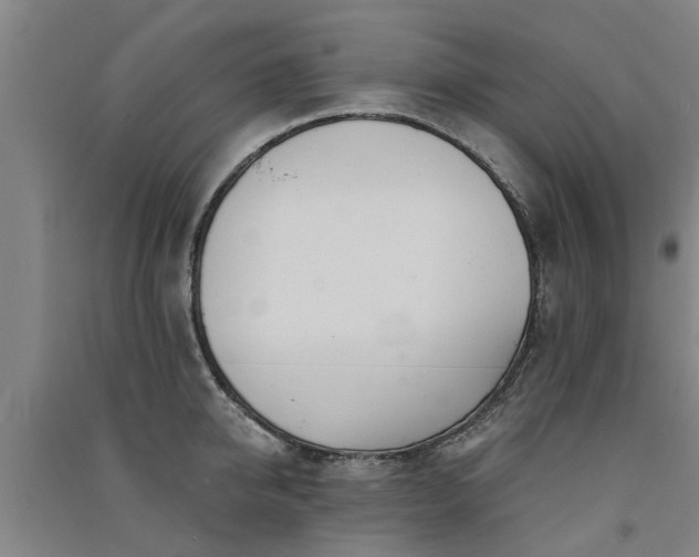 X0000091560950200708171323