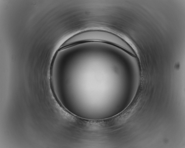 X0000091560951200708171323