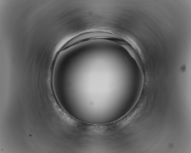 X0000091560952200708171323