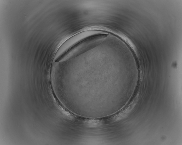 X0000091560953200708171323