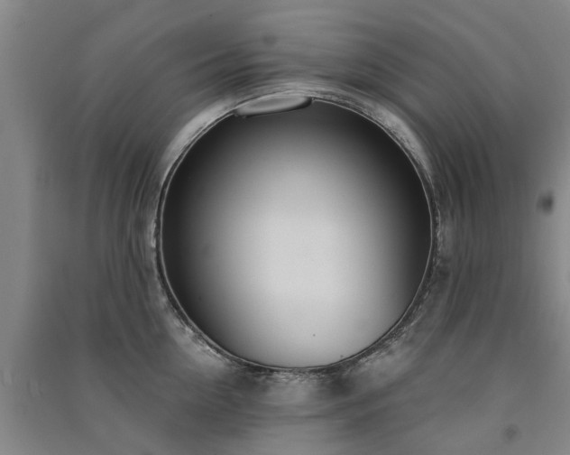 X0000091560954200708171323