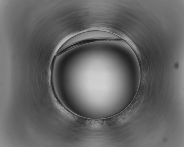 X0000091560955200708171323