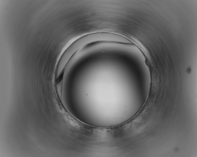 X0000091560956200708171323