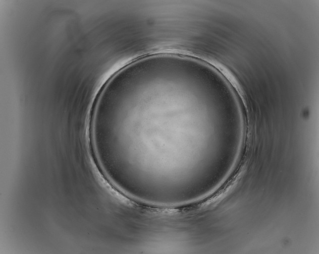 X0000091560957200708171323