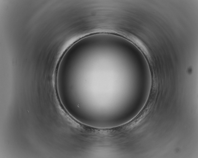 X0000091560958200708171323