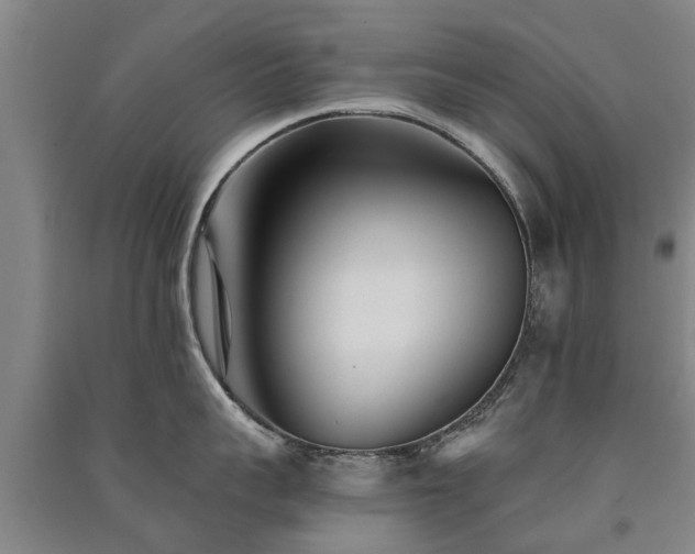 X0000091560959200708171323