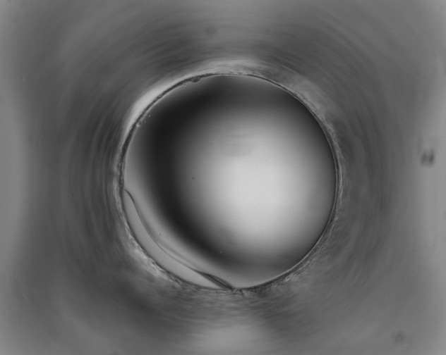 X0000091560960200708171323