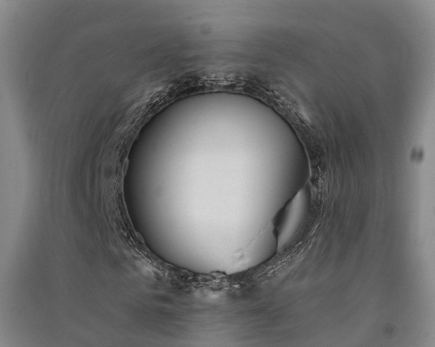 X0000091560961200708171322