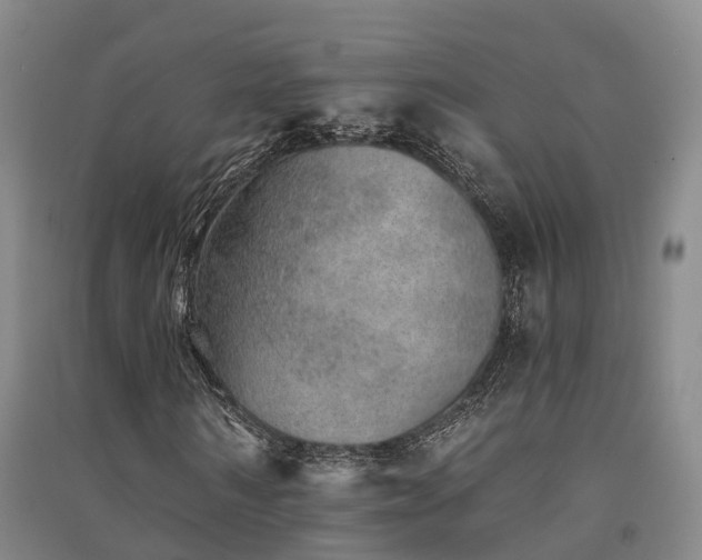 X0000091560962200708171322