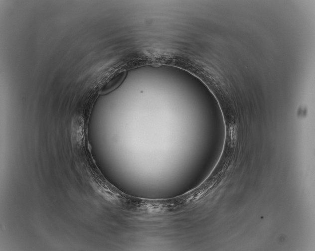 X0000091560963200708171322