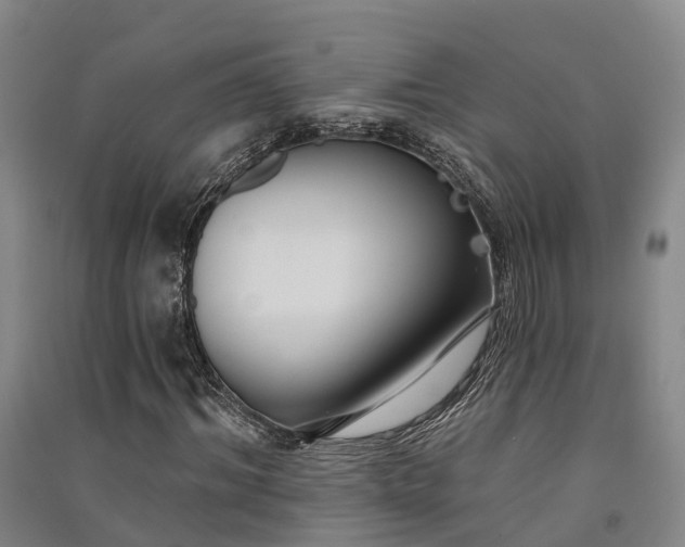 X0000091560964200708171322