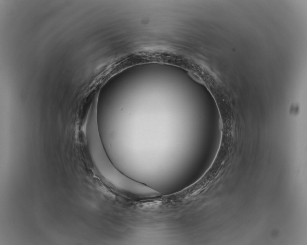 X0000091560965200708171322