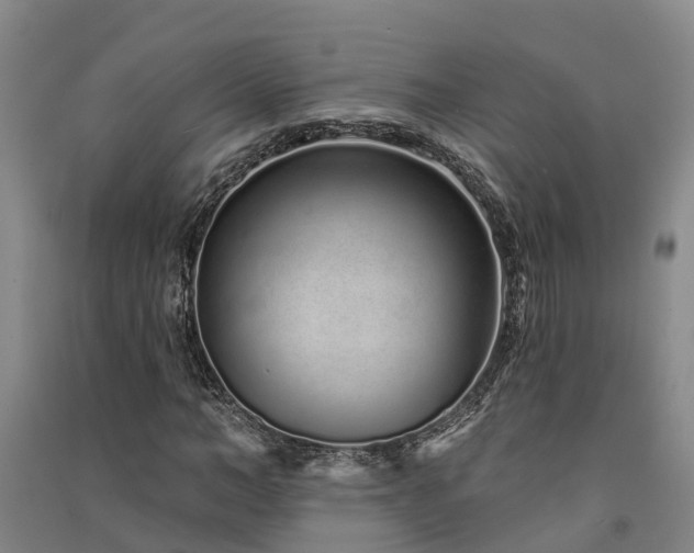 X0000091560966200708171322