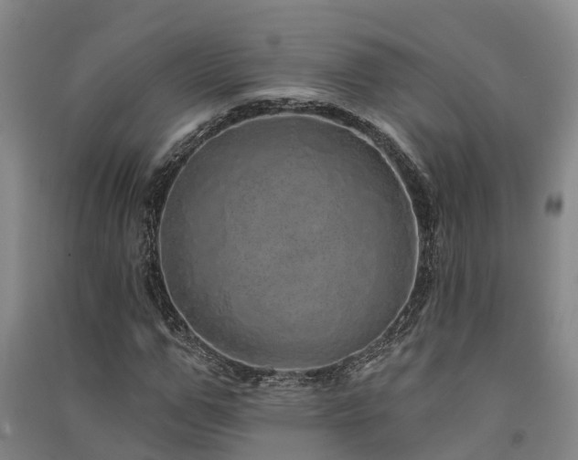 X0000091560967200708171322