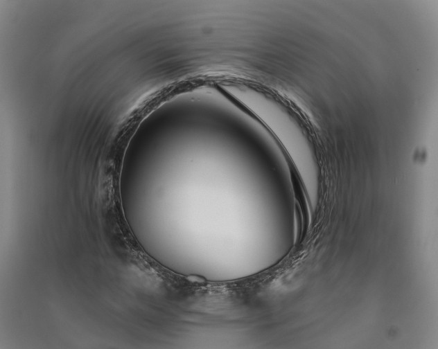 X0000091560968200708171322