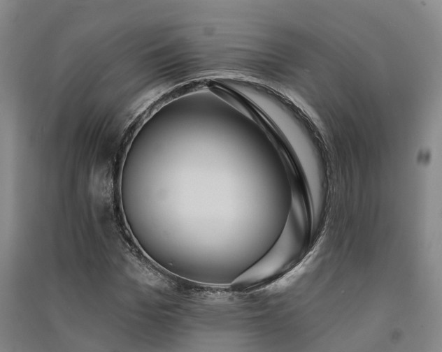 X0000091560969200708171322