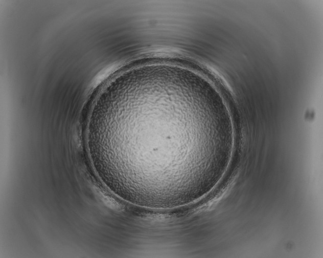 X0000091560970200708171322