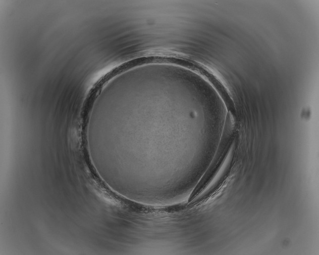 X0000091560971200708171322