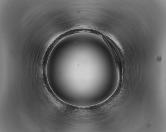 X0000091560972200708171322