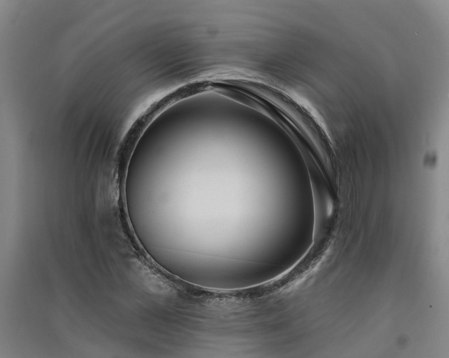 X0000091560973200708171322