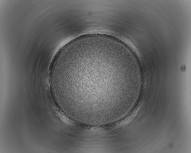 X0000091560974200708171322