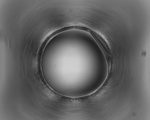 X0000091560975200708171322