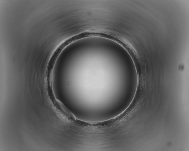 X0000091560976200708171322