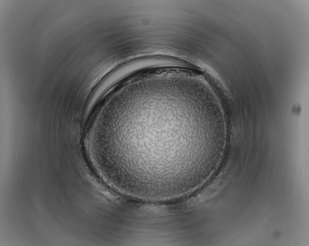 X0000091560977200708171322