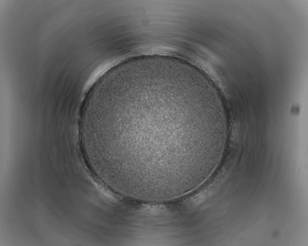 X0000091560978200708171322