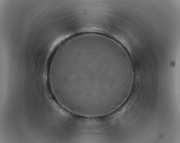 X0000091560979200708171322