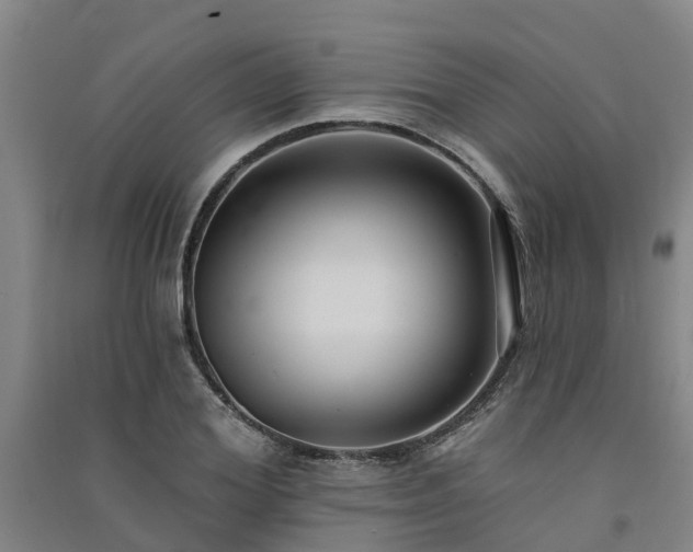 X0000091560980200708171322