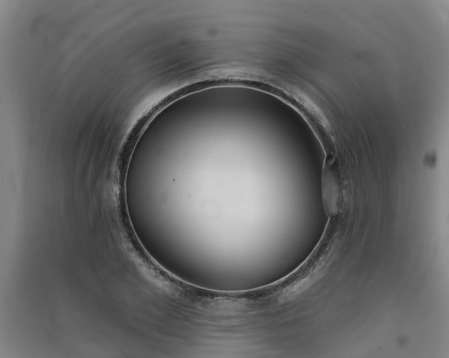 X0000091560981200708171322