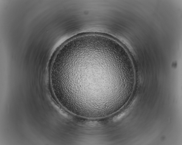 X0000091560982200708171322