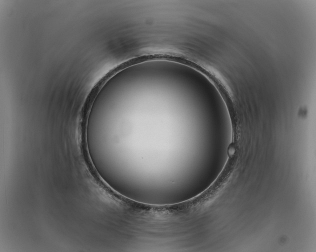 X0000091560983200708171322