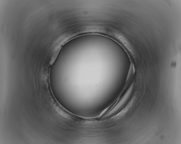 X0000091560985200708171322