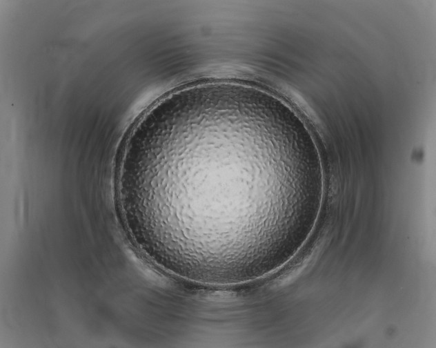 X0000091560986200708171322