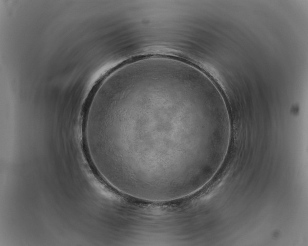 X0000091560987200708171322