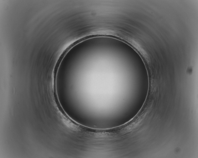 X0000091560988200708171322