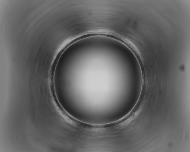 X0000091560989200708171322