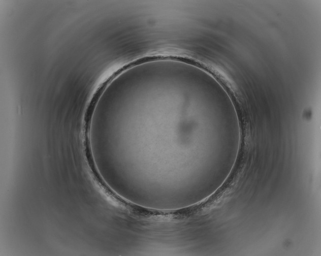 X0000091560990200708171322