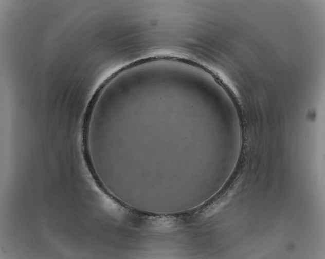 X0000091560991200708171322