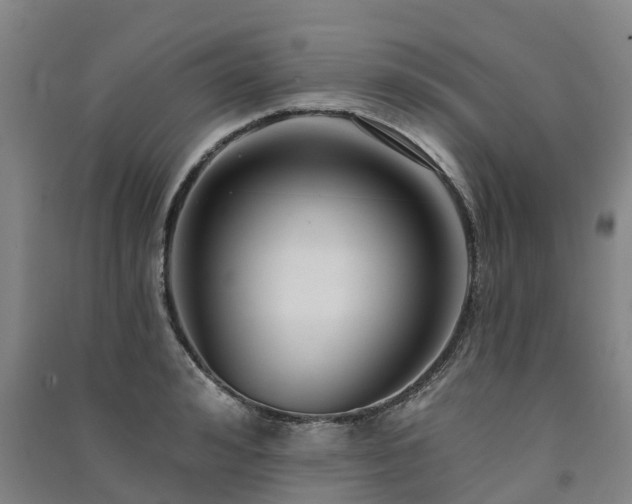 X0000091560992200708171322