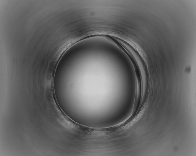 X0000091560993200708171322