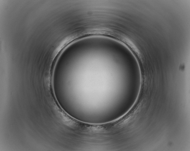 X0000091560994200708171322