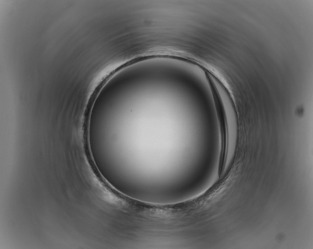 X0000091560995200708171322