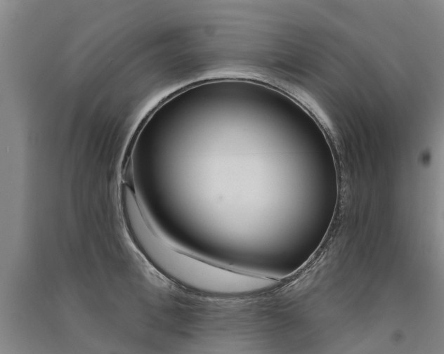 X0000091560996200708171322