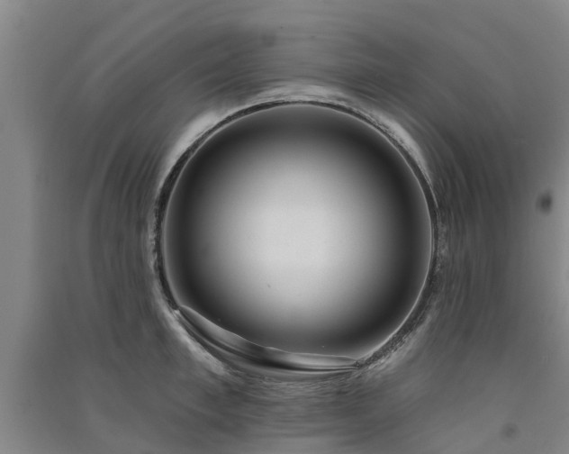 X0000091560997200708171322